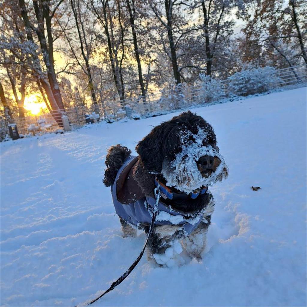 Wintereinbruch in Dorsten: Die schönsten Schnee-Fotos unserer Leser Dorsten ist am Freitagmorgen (22.11.) in eine weiße Winterlandschaft verwandelt worden.