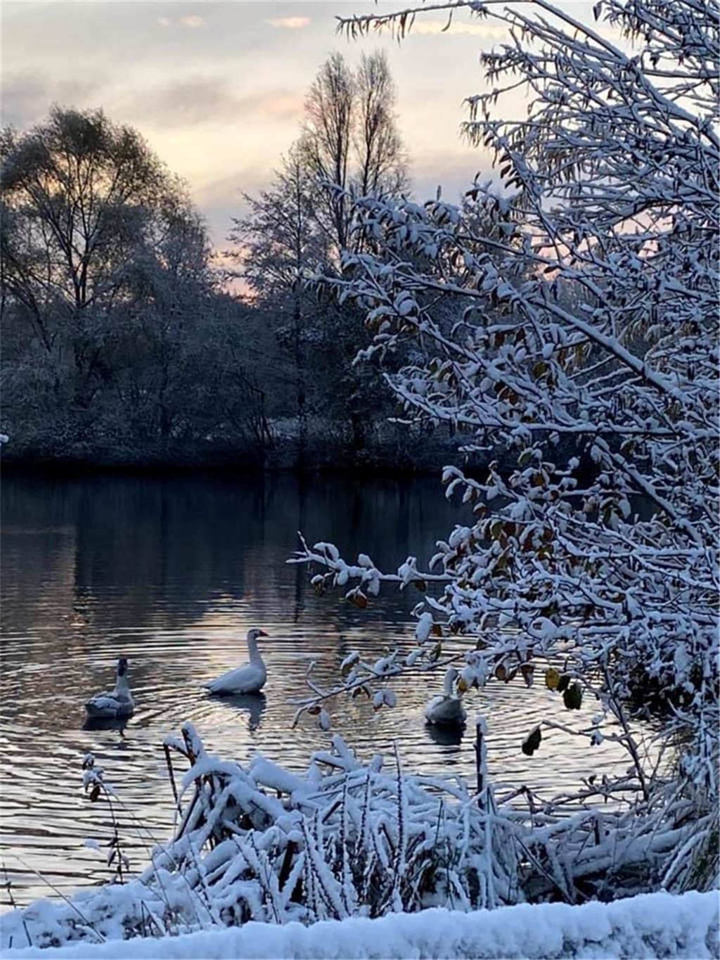 Wintereinbruch in Dorsten: Die schönsten Schnee-Fotos unserer Leser Dorsten ist am Freitagmorgen (22.11.) in eine weiße Winterlandschaft verwandelt worden.