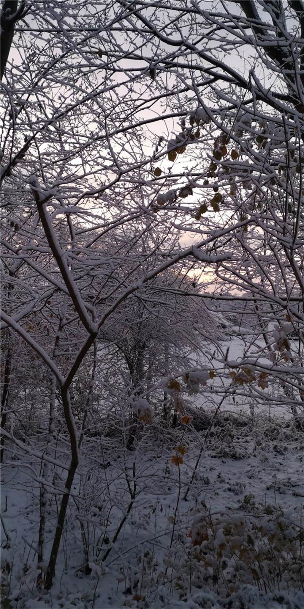 Wintereinbruch in Dorsten: Die schönsten Schnee-Fotos unserer Leser Dorsten ist am Freitagmorgen (22.11.) in eine weiße Winterlandschaft verwandelt worden.