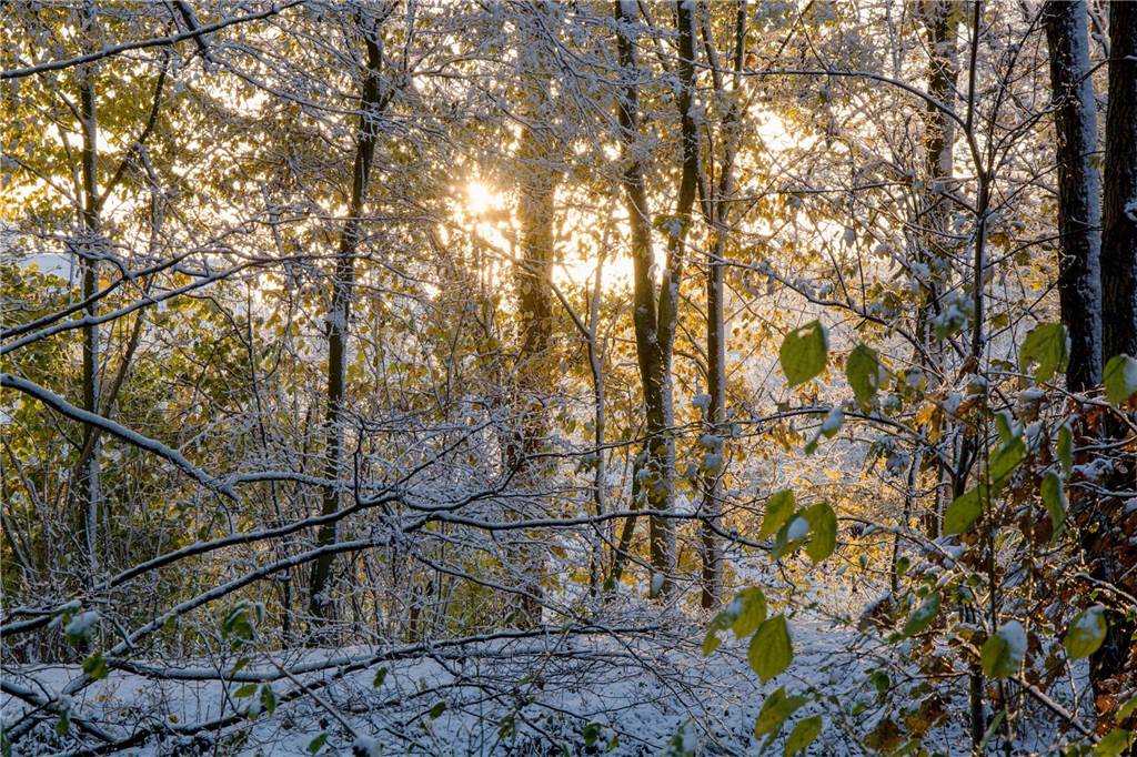 Wintereinbruch in Dorsten: Die schönsten Schnee-Fotos unserer Leser Dorsten ist am Freitagmorgen (22.11.) in eine weiße Winterlandschaft verwandelt worden.