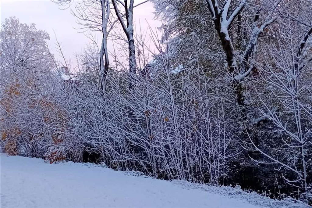 Wintereinbruch in Dorsten: Die schönsten Schnee-Fotos unserer Leser Dorsten ist am Freitagmorgen (22.11.) in eine weiße Winterlandschaft verwandelt worden.