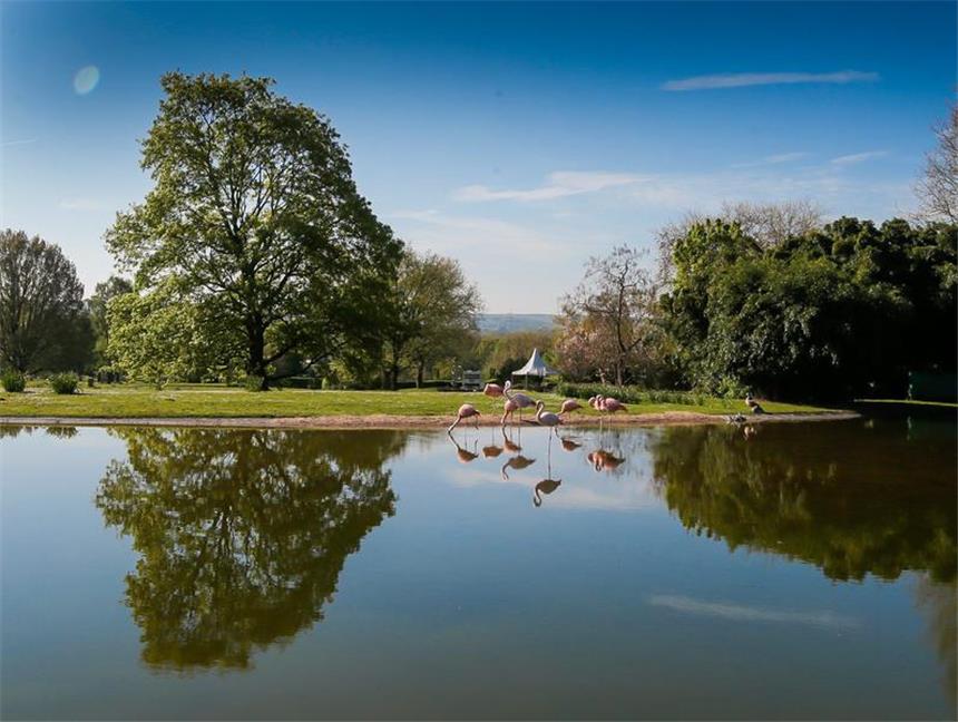 Bilder-Quiz: Wie gut kennen Sie Dortmunds Parks? Dortmund ist grüner, als viele denken.