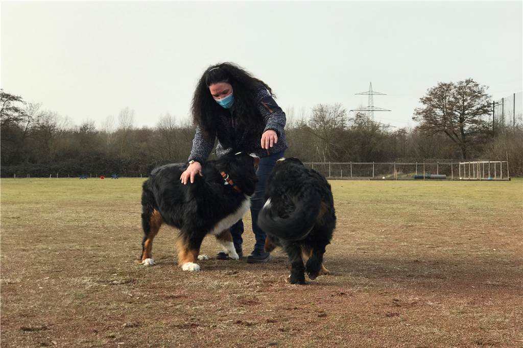 Hund beißt Frau ins Gesicht: Welche Pflichten haben Hundehalter? Dortmunderin Claudia Panter von der Hundeschule "Glückliche Hundewiese" führt Sachkundeprüfungen durch.
