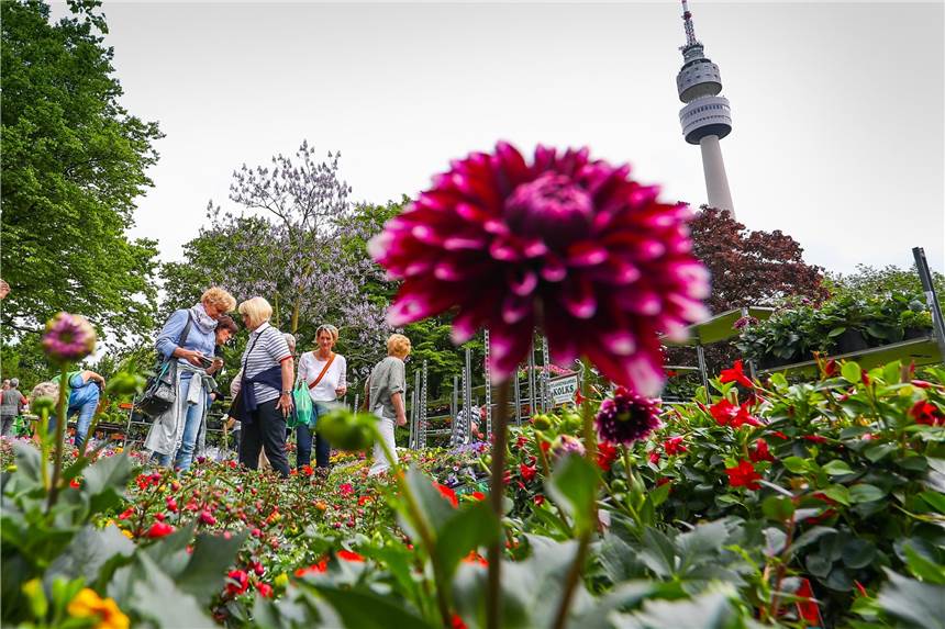 Dortmund - eine Stadt mit Geschichte und besonderen Menschen Dortmunds grüne Seite ist unter anderem im Westfalenpark mit dem Florianturm zu sehen.