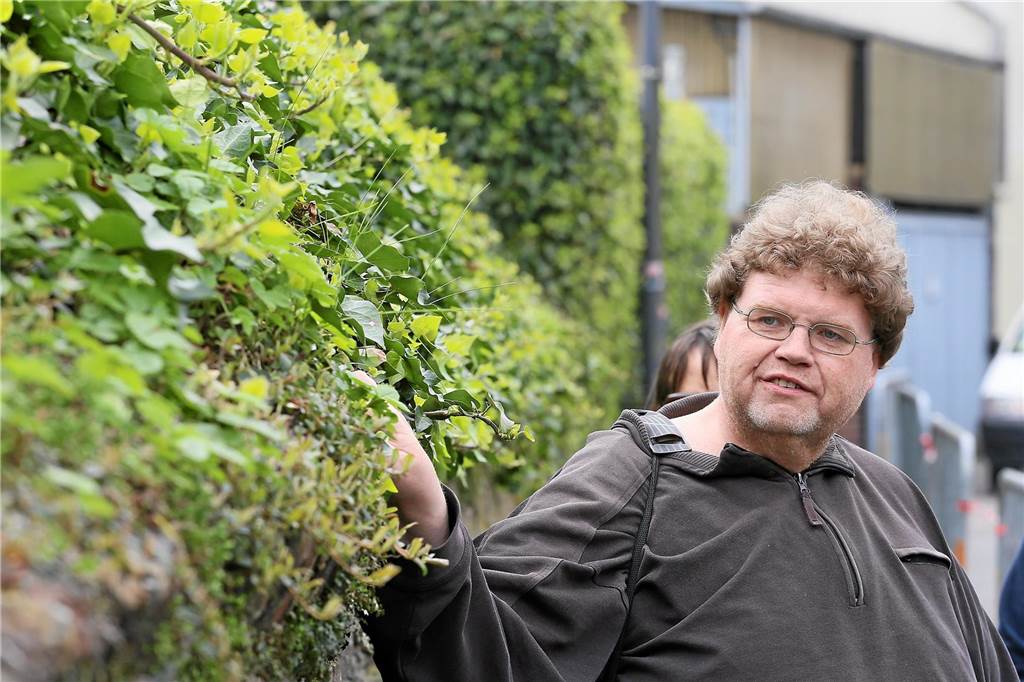 Gelb leuchtende Borken: Flechte ist ein Grund zum Freuen und Fürchten Dr. Götz Loos ist nicht nur im Wissenschaftsbetrieb tätig, unter anderem an der Ruhr-Uni Bochum. Er macht auch regelmäßig populärwissenschaftliche Führungen im Kreis Unna.