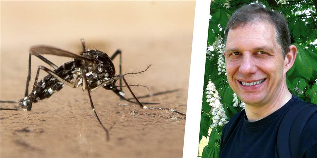 Nach Nosferatu-Spinne: Dortmunder Experte warnt vor exotischen Mücken Dr. Hans-Dieter Otterbein, Geschäftsführer des AGARD-Naturschutzhauses in Dortmund, warnt vor einer bestimmten Mücke.