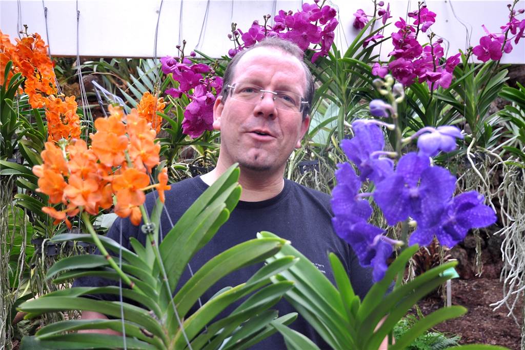 „Fremdparker“ am Rombergpark: Nummernschilder offenbaren Dauerproblem Dr. Patrick Knopf, Leiter des Botanischen Gartens, möchte die Parkplatzsituation vor Ort ändern. Planungen dazu laufen.