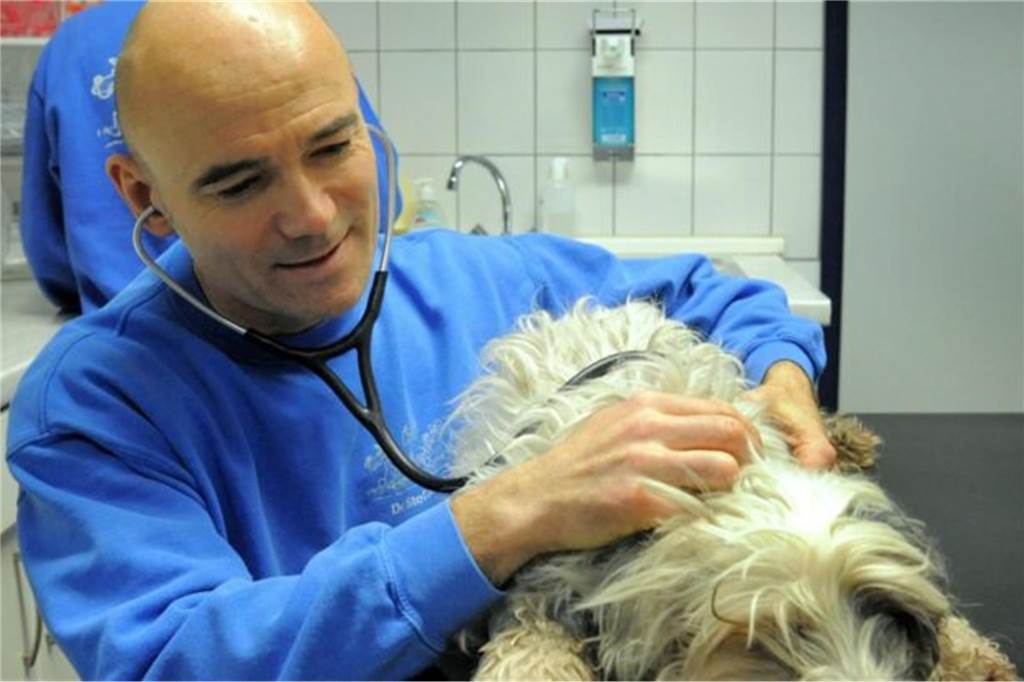 Jahresrückblick 2023: Die bewegendsten Geschichten aus Schwerte Tierarzt Dr. Stefan Wolf hört in seiner Praxis einen Hund mit dem Stethoskop ab.