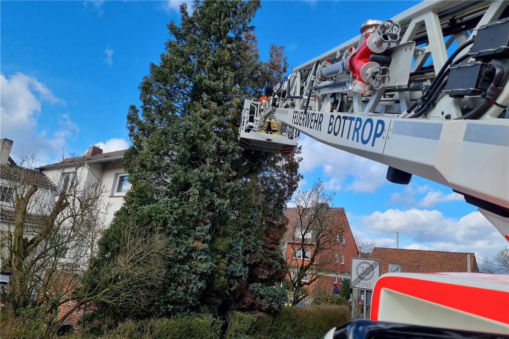 Baum kippte auf Hausdach und zerstörte komplette erste Etage Drehleiter der Feuerwehr Bottrop im Einsatz: Sowohl in Bottrop als auch in Kirchhellen hatten Berufs- und Freiwillige Feuerwehr alle Hände voll zu tun.