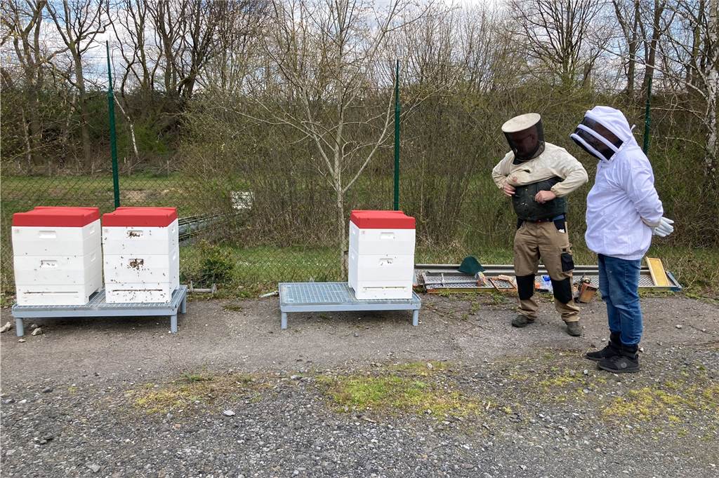 Süße Energie im Glas: Trianel lässt in Lünen Kraftwerksbienen fliegen Drei Bienenstöcke sind aus Brotdorf an der Saar zum Trianel-Gelände nach Lünen gebracht worden. Dort steht bald die erste Ernte an.