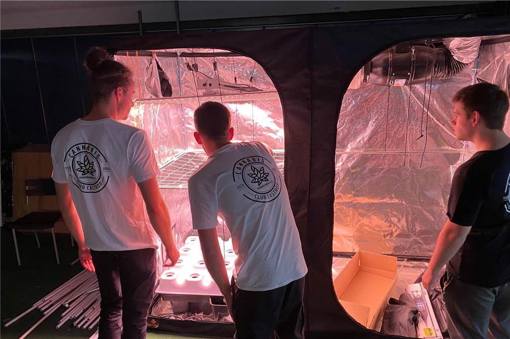 Cannabis Club findet Anbau-Halle und wartet nun nur noch aufs Gesetz Drei der fünf jungen Männer, die in Castrop-Rauxel einen Cannabis-Club gründen, bei der Besichtigung von Gewächshäusern in einem Fachhandel in der Region.