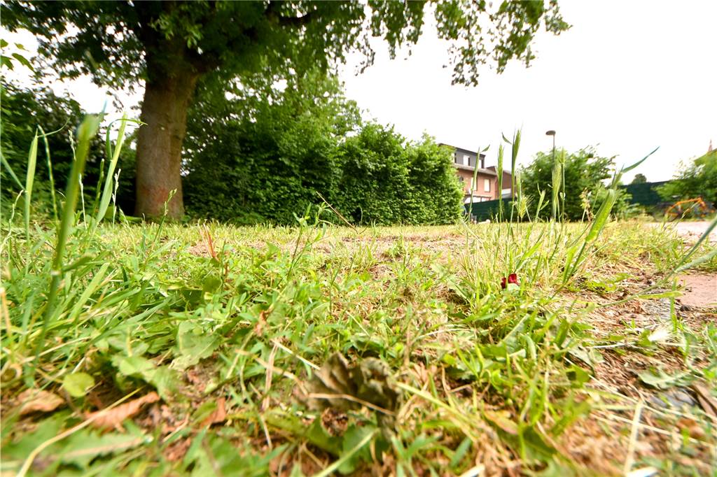 Aus alten Spielplätzen werden in Ahaus keine Gemeinschaftsgärten Drei Flächen sind nur etwas größer als 200 Quadratmeter – wie dieser ehemalige Spielplatz am Fußweg zwischen Möwenweg und Am Rabenhorst. Wohnbebauung scheidet schon aus Platzgründen dort aus.