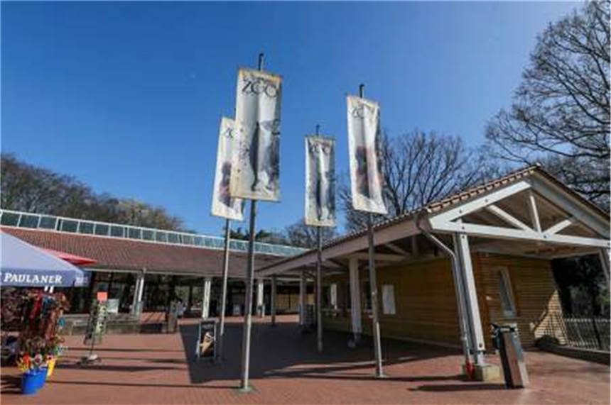 Nachwuchs im Dortmunder Zoo: Drei Grüne Ameiven geschlüpft Drei Jungtiere der Art der Grünen Ameive sind im Dortmunder Zoo am Donnerstag (11.11.) geschlüpft.