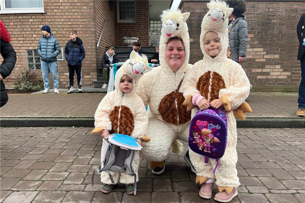 Drei Lamas auf Abwegen in Olfen. 