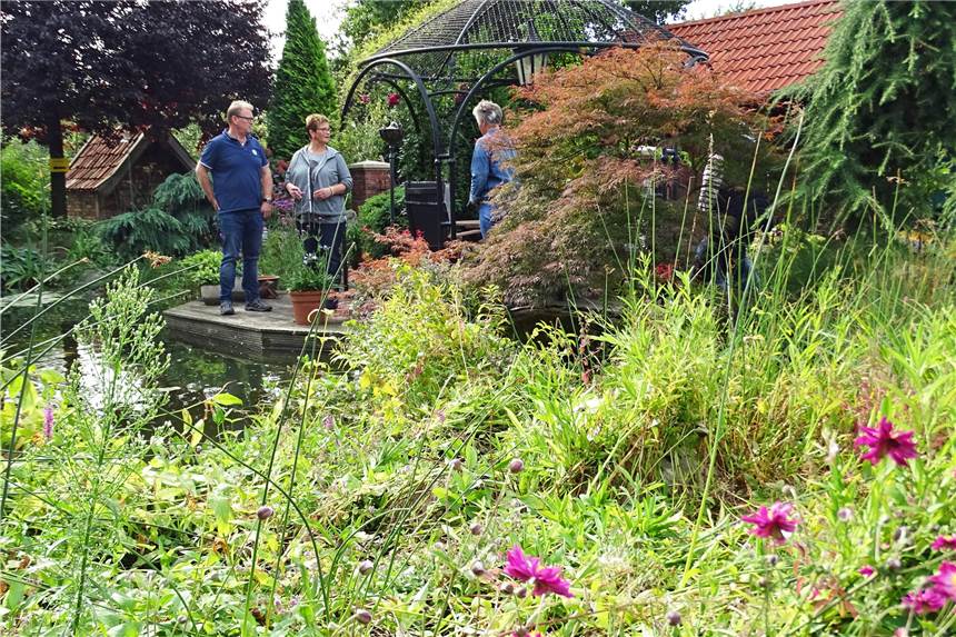 Drei Familien aus Ellewick öffnen ihre Gartenpforten für Besucher Drei offene Gartenpforten in Ellewick laden Besucher zum staunen und verweilen ein.