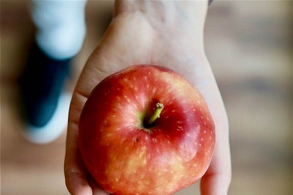 Gesunde Ernährung im Corona-Alltag: Ideen und einfache Tipps für Familien Drei Portionen Gemüse und zwei Portionen Obst am Tag rät Alexandra Heitmann. Eine Portion entspricht einer Handvoll.