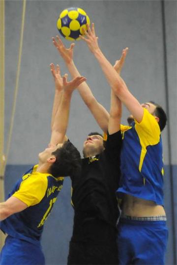 DTB-Pokal Endspiel - Adler (gelb)  - SG Pegasus