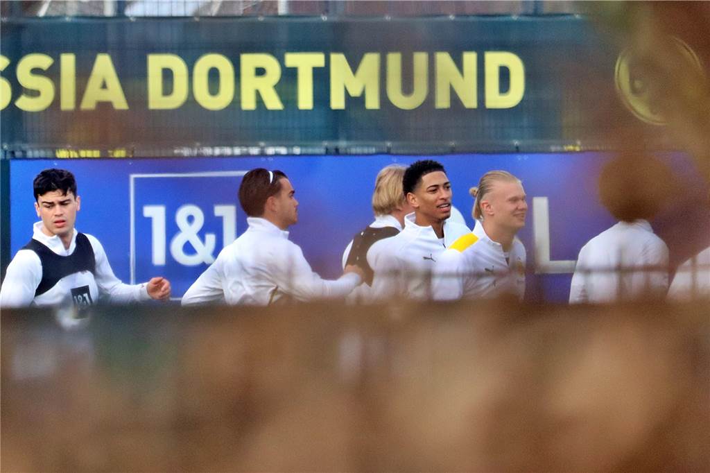 BVB-Kader gegen Bielefeld: Abräumer, Youngster und zwei Rückkehrer Dürften gegen Bielefeld in den BVB-Kader zurückkehren: Erling Haaland (r.) und Giovanni Reyna (l.).