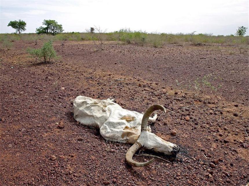 Wetterextreme treffen insbesondere arme Staaten Dürre in der Sahel-Zone, hier in Mali. Entwicklungsländer leiden besonders unter verheerenden Wetterereignissen, die durch den Klimawandel häufiger werden. Foto: Nick Bothma/Archiv