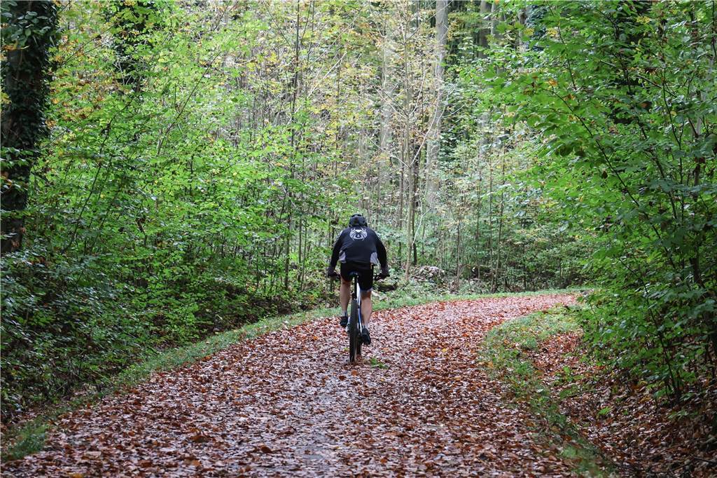 Ein Fahrradfahrer fährt durch den Süggelwald.