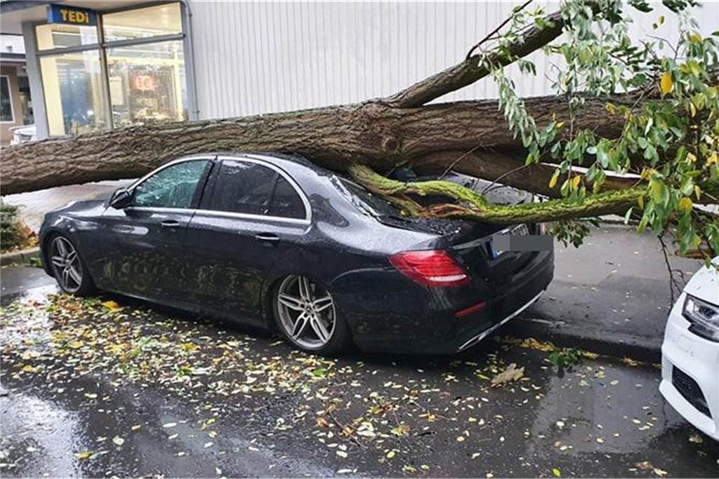 Das Jahr der Wetterextreme in Dortmund? Was Experten über 2021 sagen Durch den Sturm sind im Oktober in Dortmund zahlreiche Bäume umgestürzt. Hier hat es ein Auto in Hombruch erwischt.