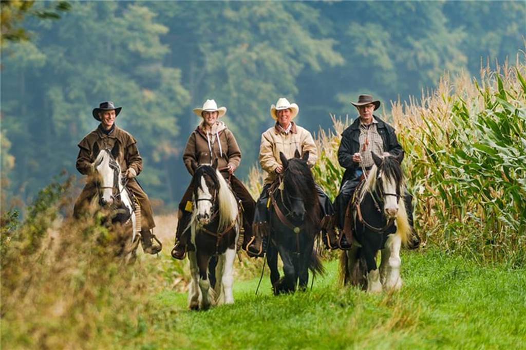 Auf dem Rücken der Pferde durchs Münsterland: Wanderritte für jedermann Eine Reitergruppe.
