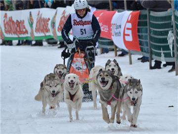 Durch die Kälte: Das Husky-Rennen in Todtmoos lockt viele Besucher an. Foto: Winifried Rothermel (Archiv)