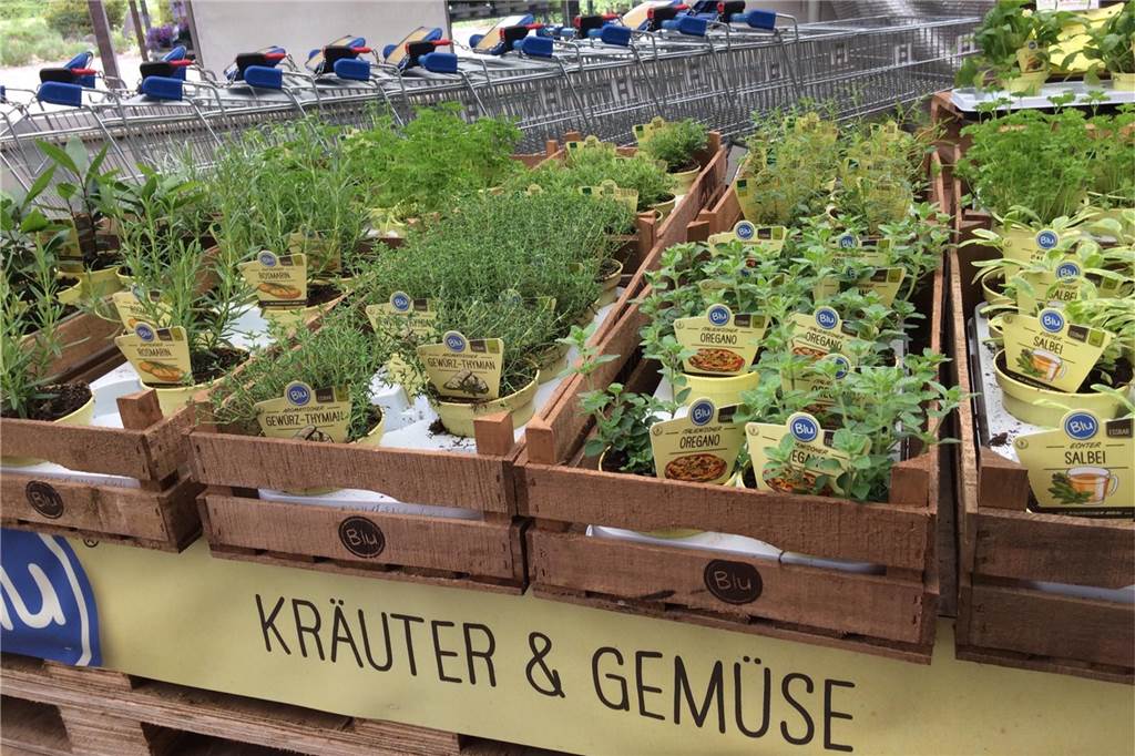 Sommerblumen trotz Coronavirus kaufen: Ab Mitte April geht das bei Gregg Durch die Zusammenarbeit mit der Gärtnerei Gemüsegut können im zweiten Jahr in Folge auch Kräuter und Gemüse gekauft werden.