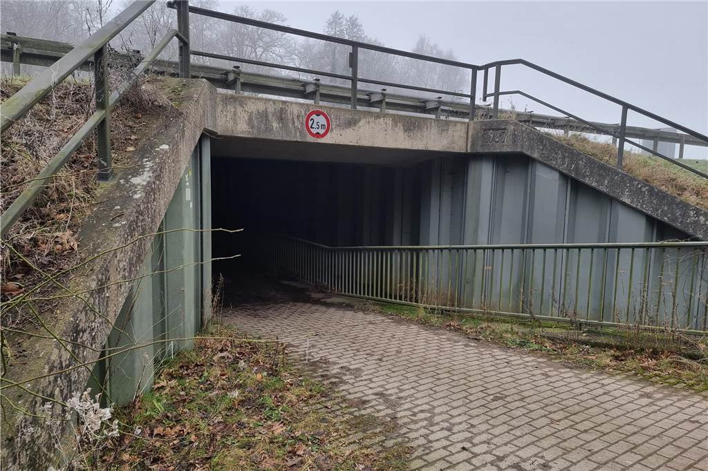 Wolfstour: Ängste und Fakten über die Rückkehr des Großraubtieres Eine Autobahnunterführung