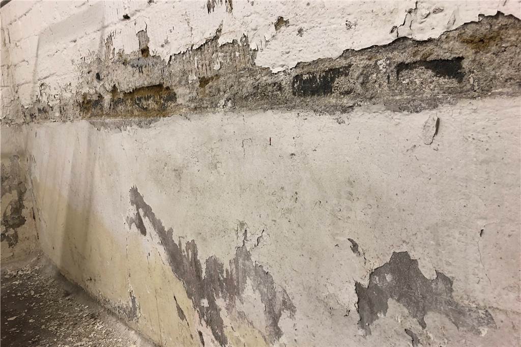 Eingemauert und vertröstet: Vonovia-Mieter sind wütend – und fordern eine Lösung Durch diesen Riss an der Wand im Waschkeller tritt bei Regen so viel Wasser ein, dass kleine Bäche über den Fußboden fließen.