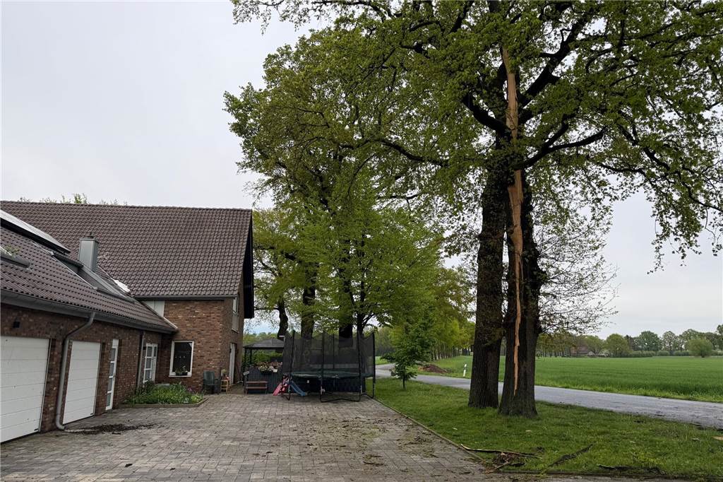 Gewitter und Handyakku verschaffen Feuerwehr Arbeit Durch einen Blitzeinschlag wurde eine gut 20 Meter hohe Eiche stark beschädigt.