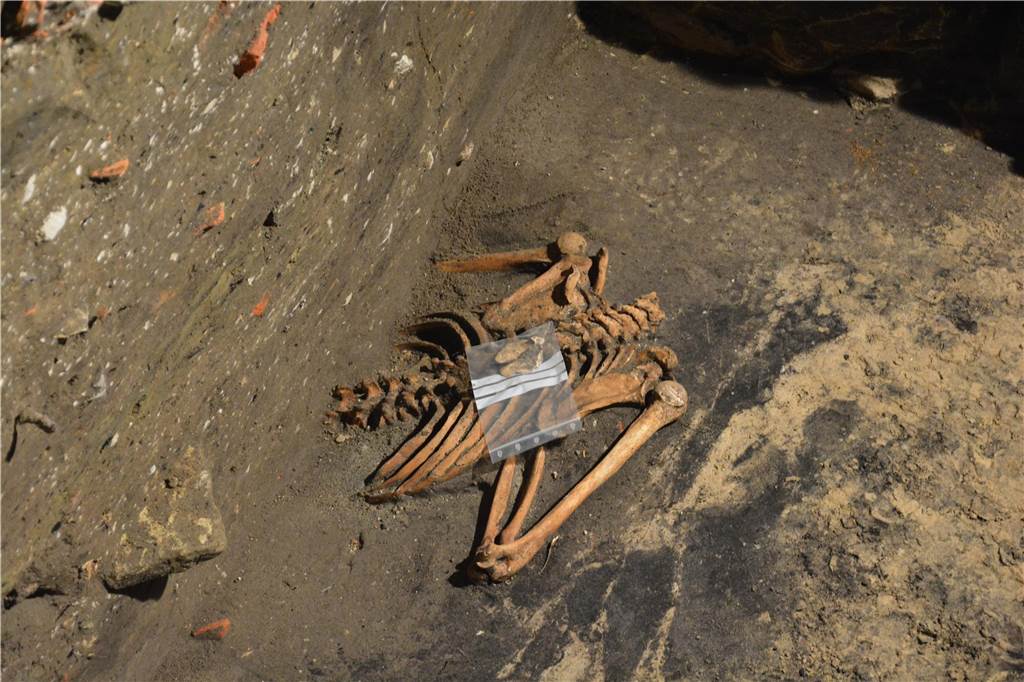 Die Überreste des Skelettes haben Auskunft über den sozialen Rang des Mannes. 