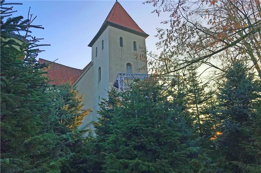Glitzerwald startet am Donnerstag mit viel Programm in die Adventszeit Dutzende Tannen stehen in der Altstadt.