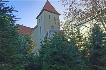 Dutzende Tannen stehen in der Altstadt.