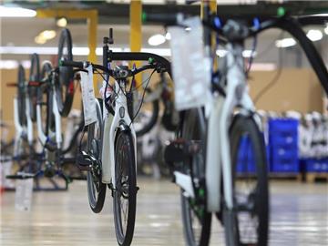 E-Bikes in der Mifa Mitteldeutsche Fahrradwerke AG in Sangerhausen. Foto: Jens Wolf