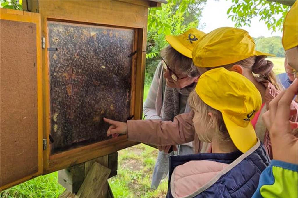 Einblicke in das Reich der Bienen beim Imker Egon Unterberg Kinder vor einem Bienenstock