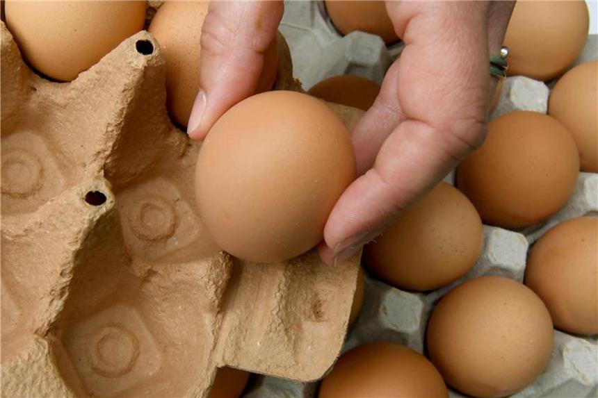 Eier werden von einer Palette in eine Pappschachtel verpackt. Foto: Holger Hollemann/Archiv