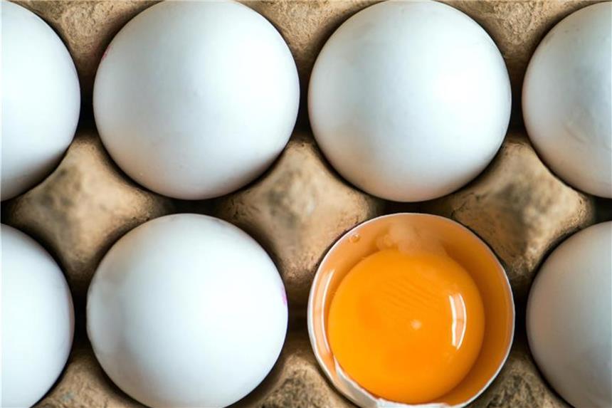 Niederlande: Eier-Verseuchung kein neuer Fipronil-Skandal Ein aufgeschlagenes Ei liegt zwischen anderen weißen Eiern in einem Karton. Foto: Armin Weigel/Archiv