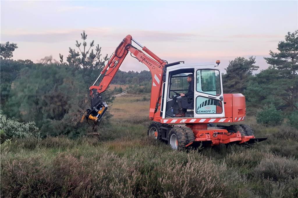 Noch pflegen Maschinen die Borkenberger Heide: Warten auf Wilden Westen Ein Bagger mit so genanntem Energieholzkneifer entfernt gezielt junge Bäume.