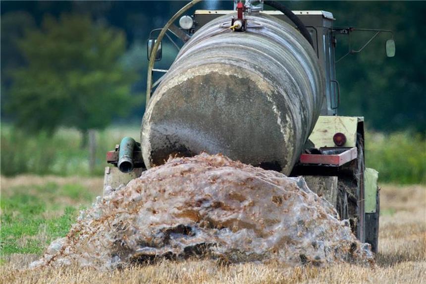 Zu viel Gülle und Nitrat: „Ohrfeige“ mit ungewissen Folgen Ein Bauer beim Ausbringen von Gülle auf einem Feld im Oderbruch. Foto: Patrick Pleul