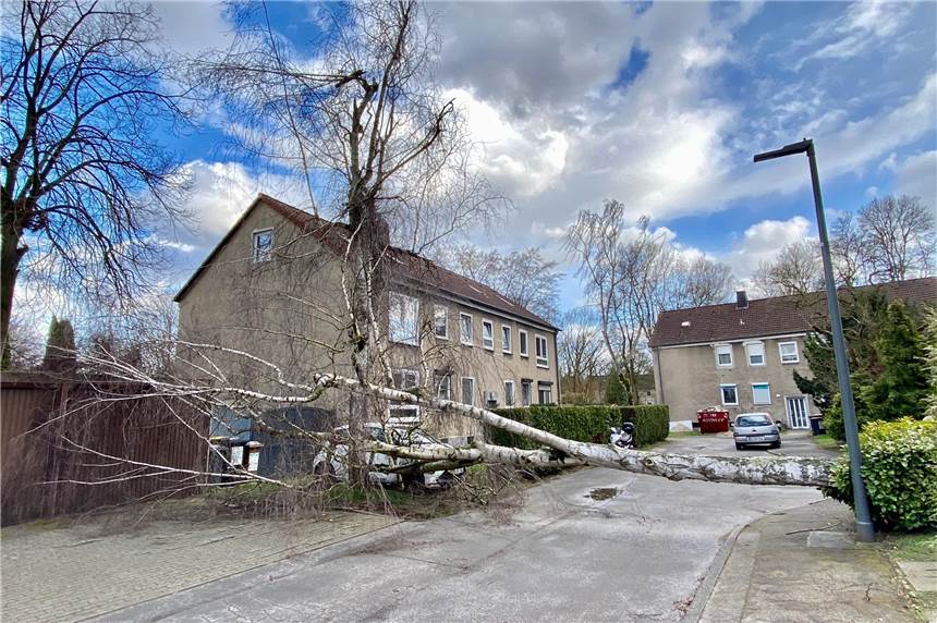 Auto unter Baum begraben – Feuerwehr rückt mit der Motorkettensäge an Ein Baum in Huckarde hielt dem Sturm nicht stand. Er begrub ein Auto unter sich.