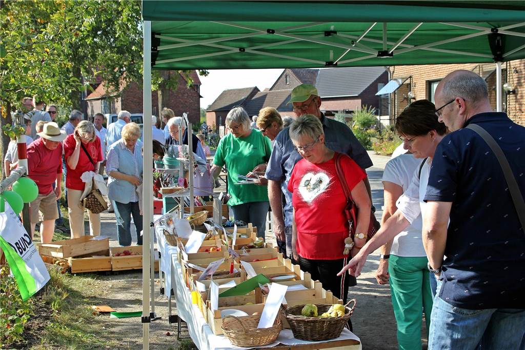 Ein Besuch beim Apfelfest des BUND am Sonntag (17. September) in Olfen lohnt sich.