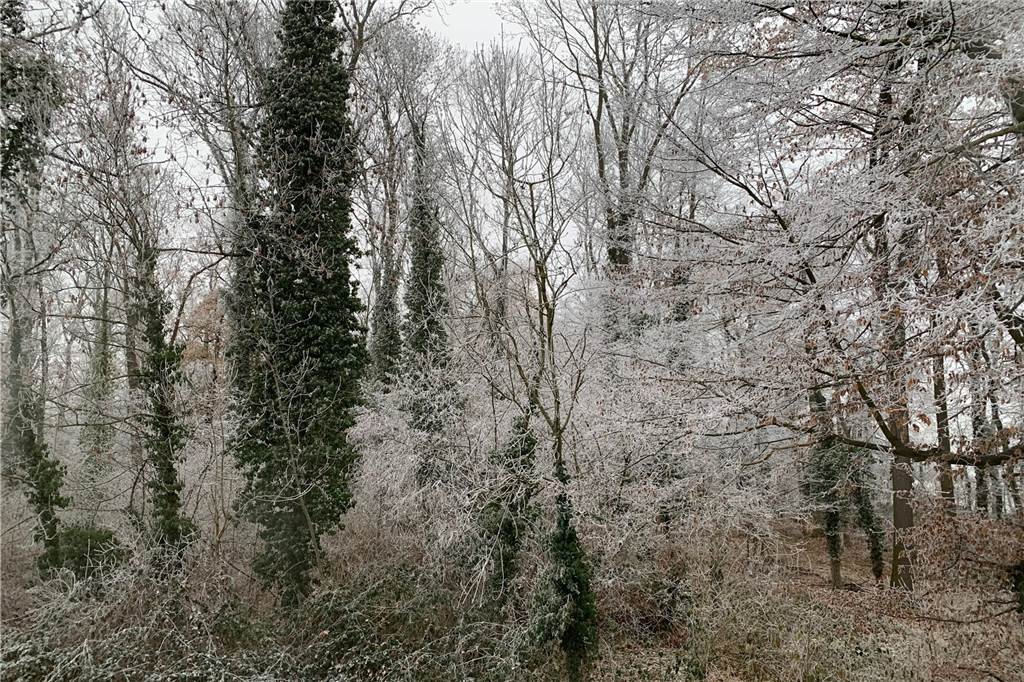 Ein Bild aus dem verfrorenen Südkirchen.