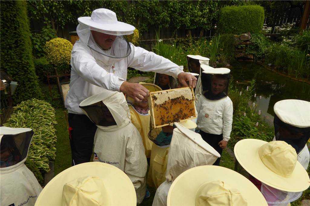 Neuer Name und neue Leitung für die Heeker Dorfimkerei Detlef Bauerdick zeigt Kindern, wie Bienen Honig produzieren