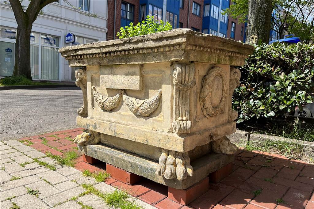 Anwohner haben mit Blumen-Dieben in der Altstadt zu kämpfen Ein bisschen Unkraut ragt aus dem Kübel an der Oberen Münsterstraße, daneben den spärlichen Pflanzen liegen Zigarettenstummel.