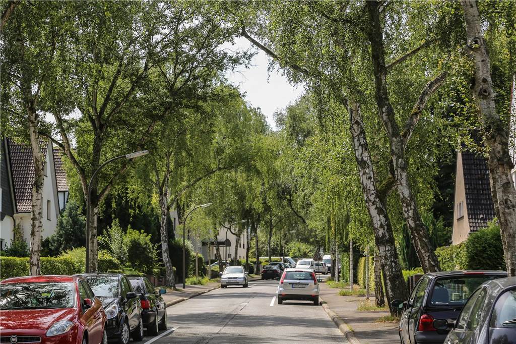 Analyse zeigt, in welchem Stadtteil Immobilien am günstigsten sind Ein Blick in die Damsfeldstraße in Lücklemberg. In diesem Dortmunder Stadtteil sind die Angebotspreise für Bestandsimmobilien aktuell am höchsten.