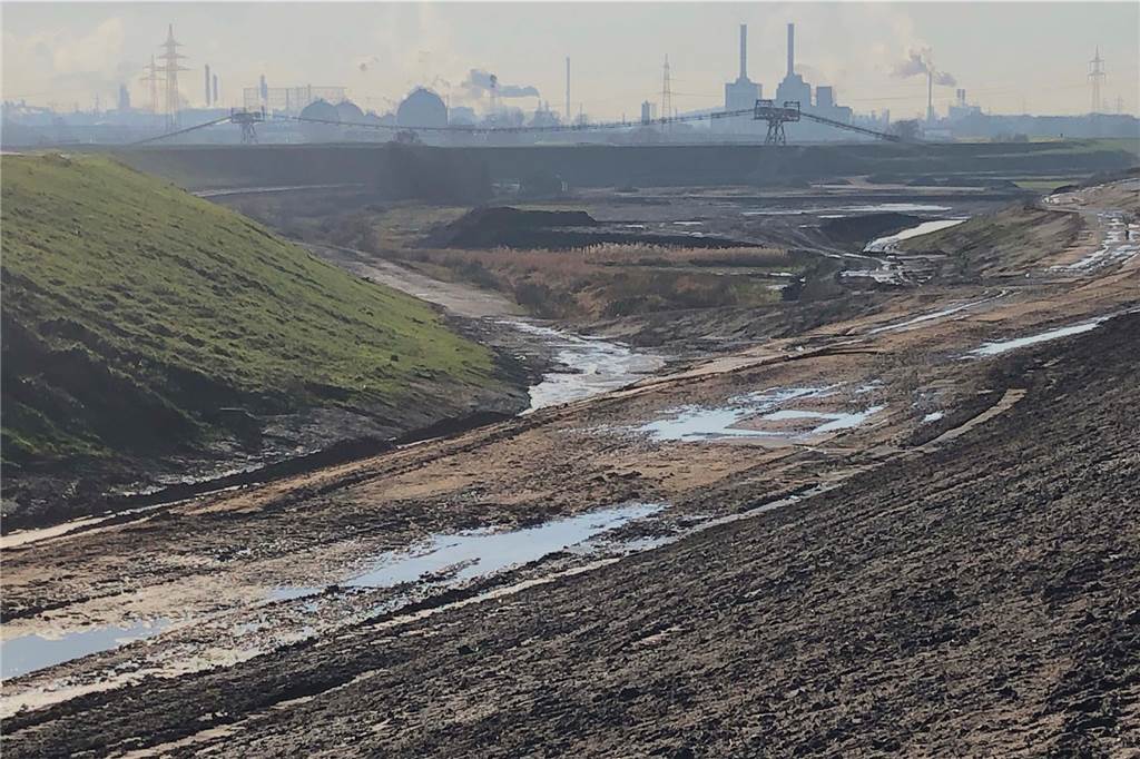 Freilaufende Hunde am Deich gefährden Natur und machen Schafe krank Ein Blick in die neue Lippeaue, die zurzeit noch vom neuen und alten Deich umschlossen wird.