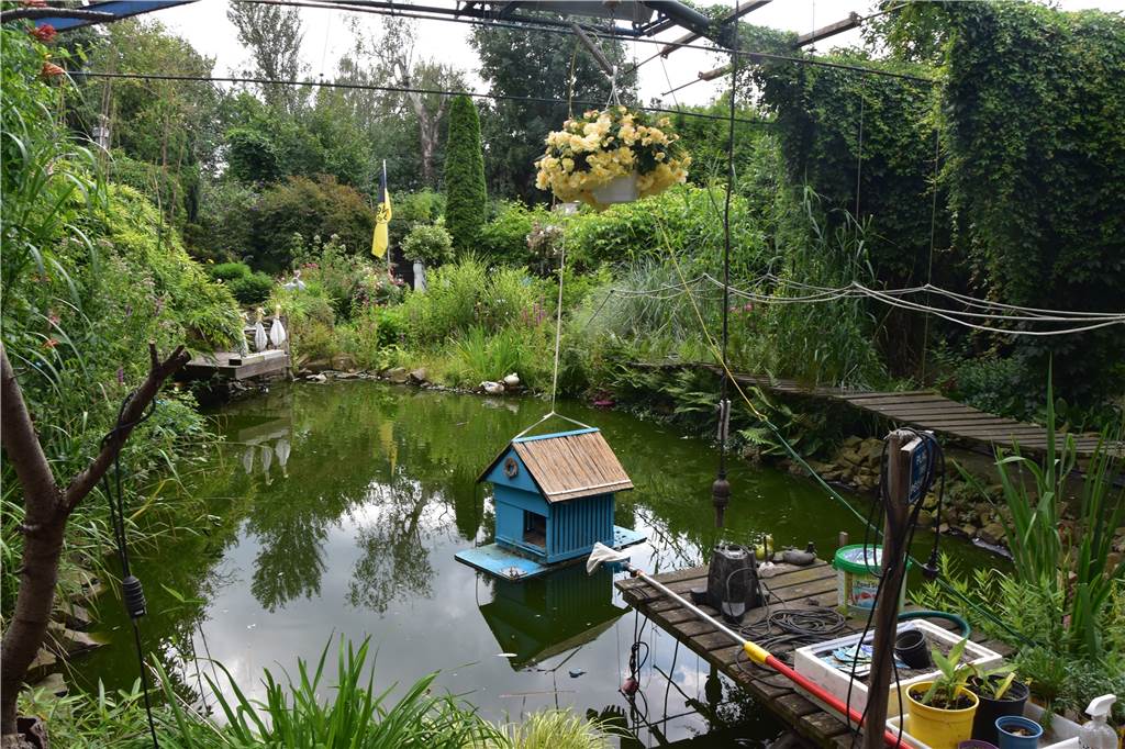 Roland Berger hat aus einer Wäscherei einen Traumgarten gestaltet Ein Blick über den 50.000 Liter fassenden und 150 Quadratmeter großen naturnahen Fischteich.