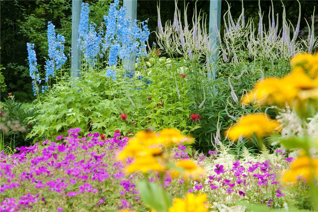 Werden Steingärten bald auch in Castrop-Rauxel verboten? Ein bunter Staudengarten. Für viele Menschen viel schöner als ein Steingarten. Und ökologischer.