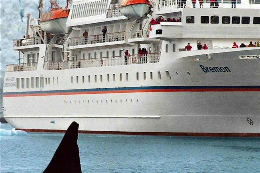 Ein Eisbär hat auf Spitzbergen ein deutsches Crew-Mitglied der „MS Bremen“ angegriffen. Foto: Hapag-lloyd